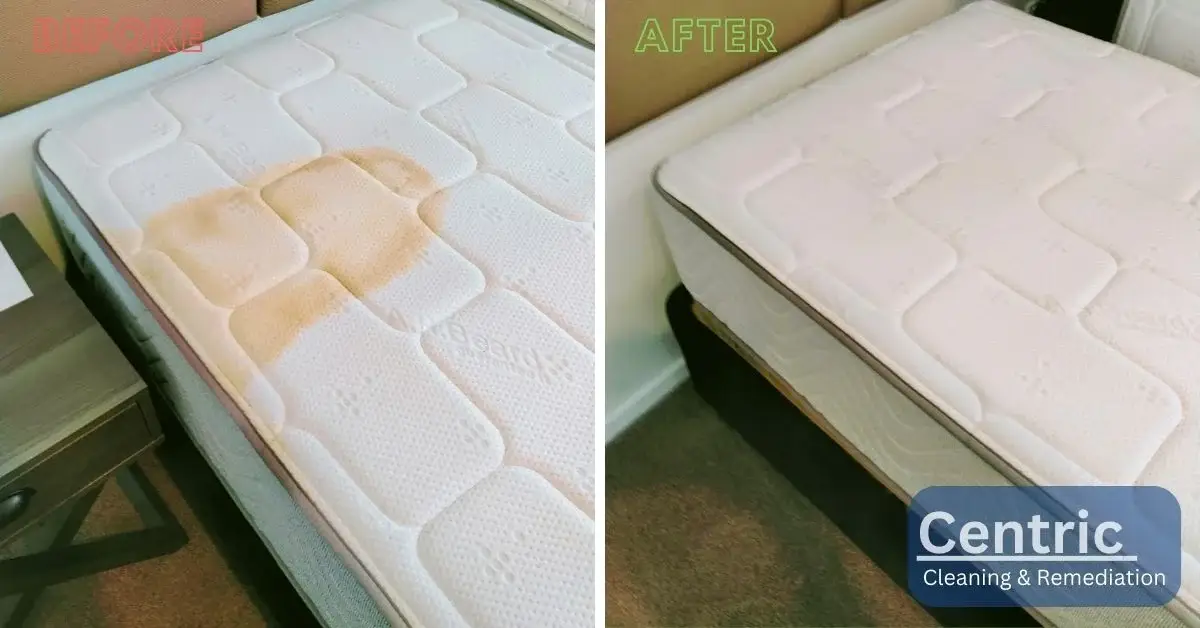 Mattress Cleaning Auckland